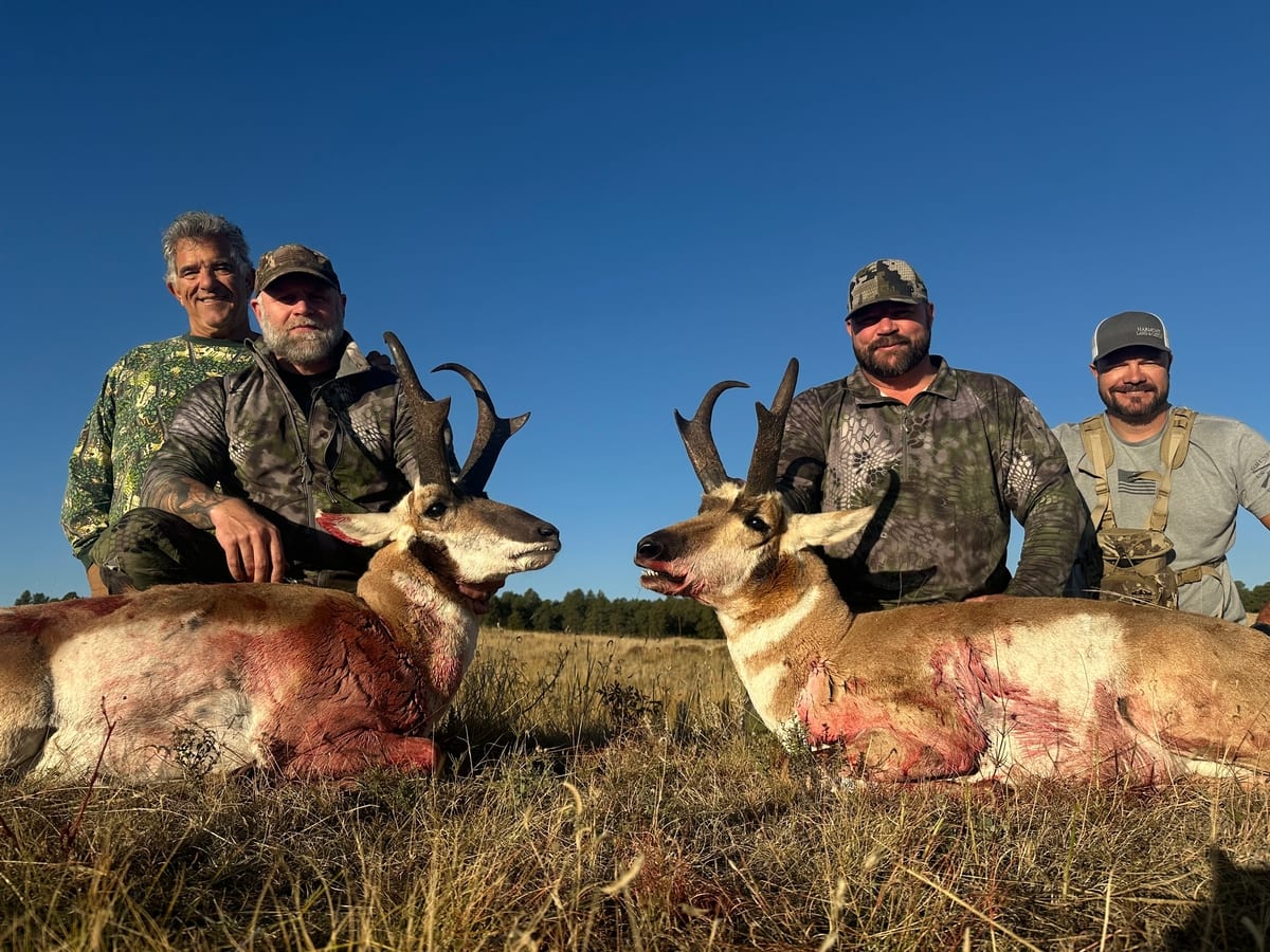 Antelope Hunts