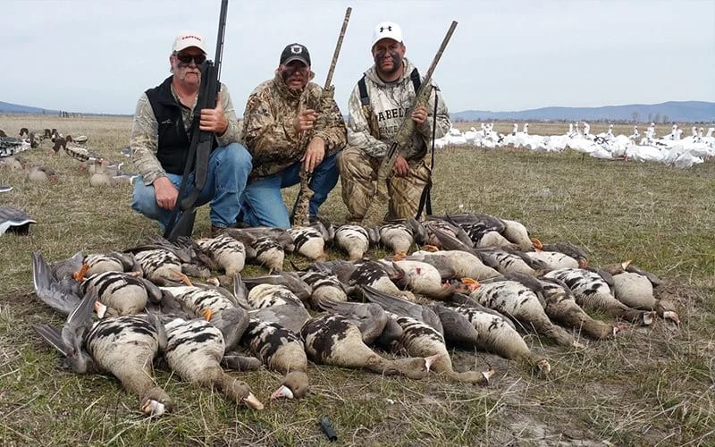 Three hunters display their haul of ducks on the ground with a flock of snow geese flying over a wide valley near the town of Dorris on the California-Oregon border.