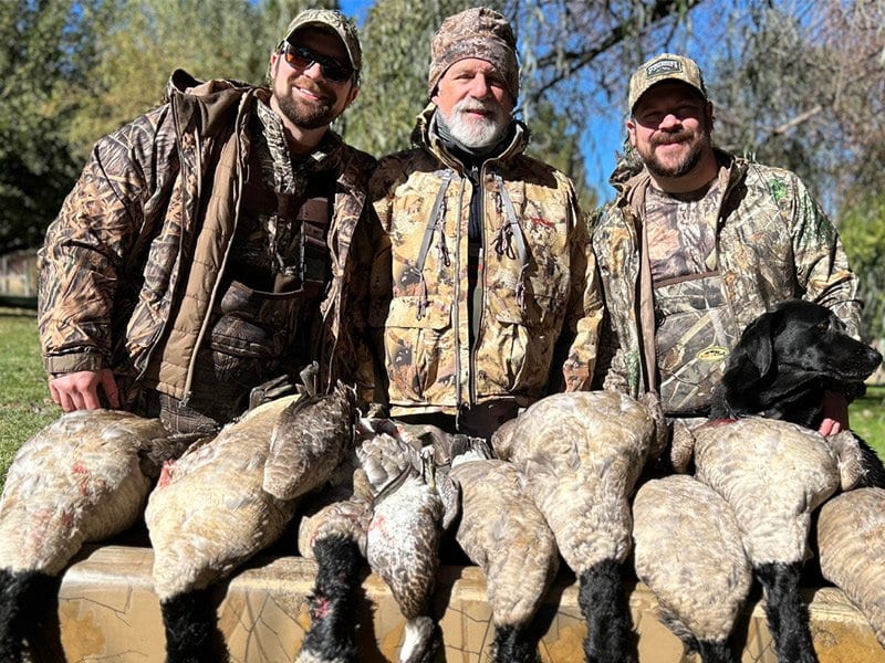 Goose hunting northern california trip with Sacramento River Guide