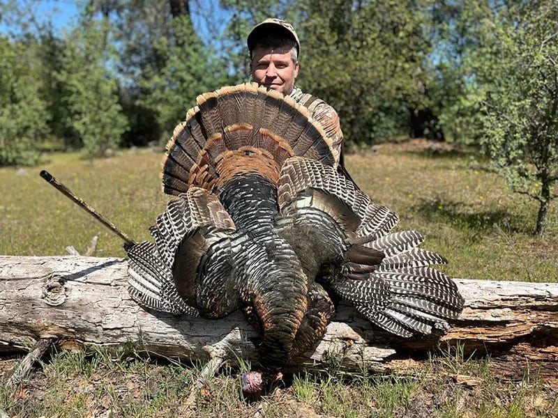 A man in outdoor clothing and a cap kneels behind a large dead turkey with a fanned tail on a fallen log deep in the Siskiyou National Forest.