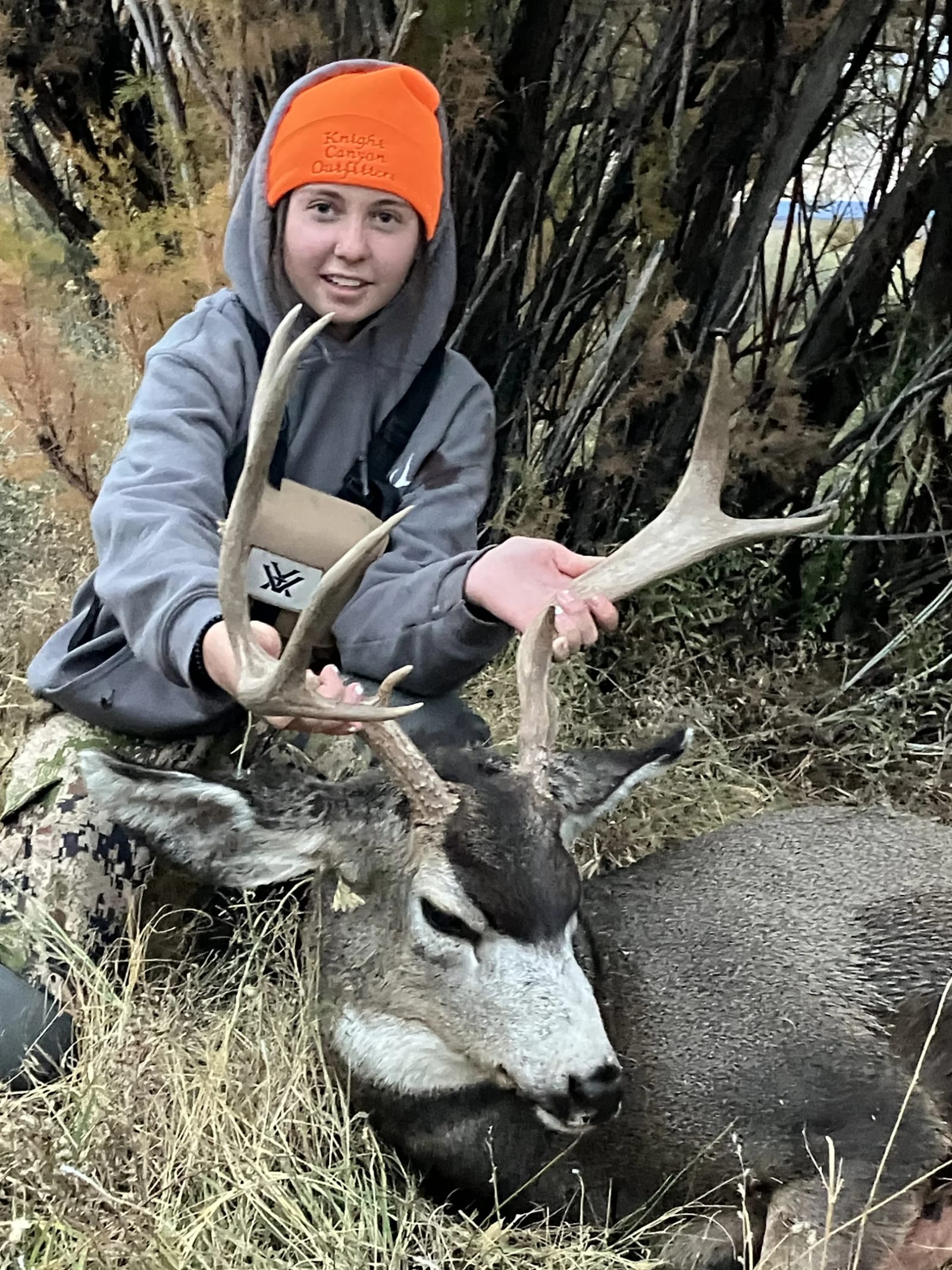 Person in orange hat holding antlers of large mule deer buck lying on grass.