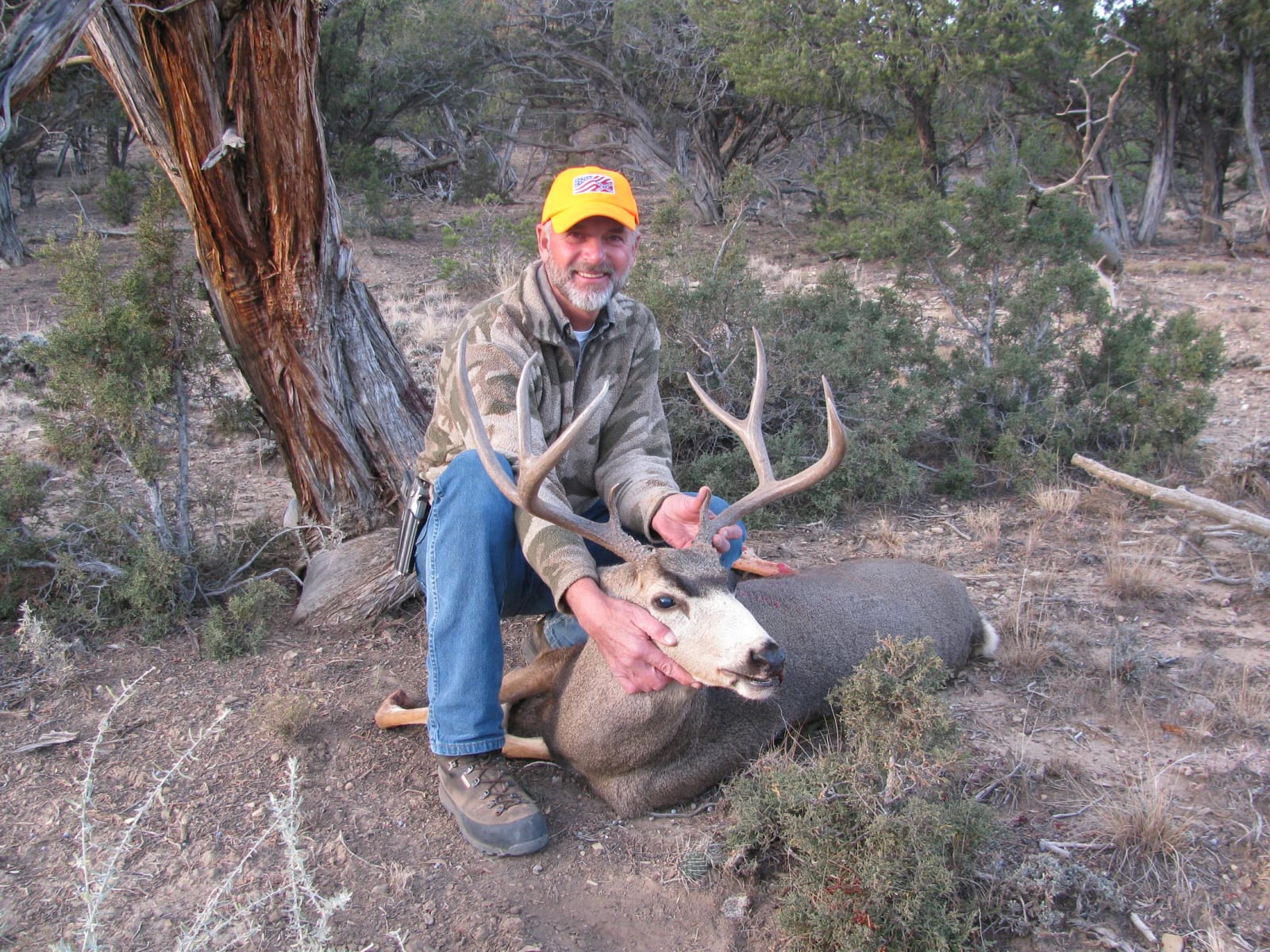 Smiling man in camo jacket and orange hat kneeling beside a buck mule deer with large antlers.