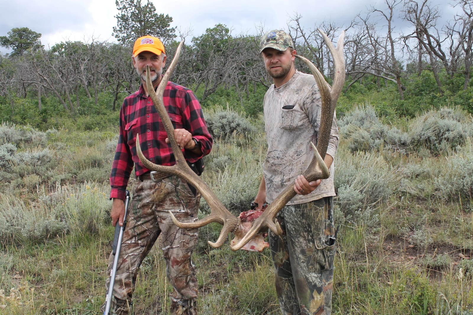 Two hunters in camouflage holding large elk antlers in a grassy, wooded outdoor setting.