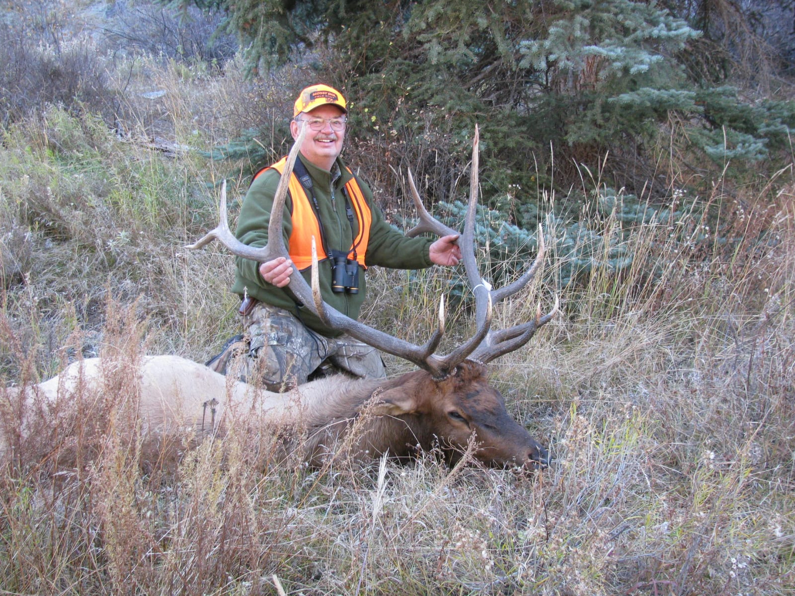 Hunter in orange vest kneeling behind a large bull elk with impressive antlers in a forest clearing.
