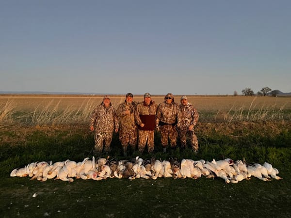 Five hunters in camouflage stand behind a large harvest of snow geese in a field at sunset.