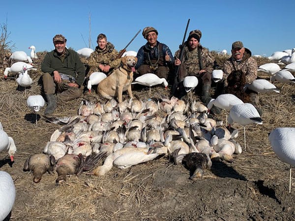 Five hunters and two dogs pose with a large pile of harvested snow geese in a field.