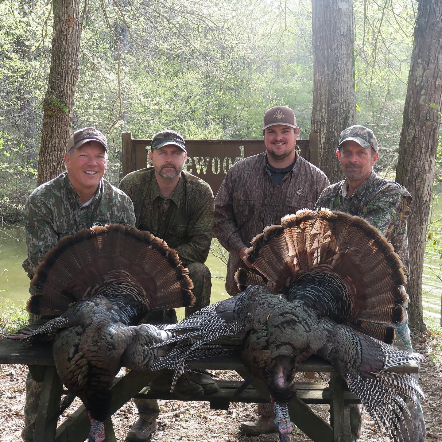 Four hunters pose with two harvested wild turkeys.