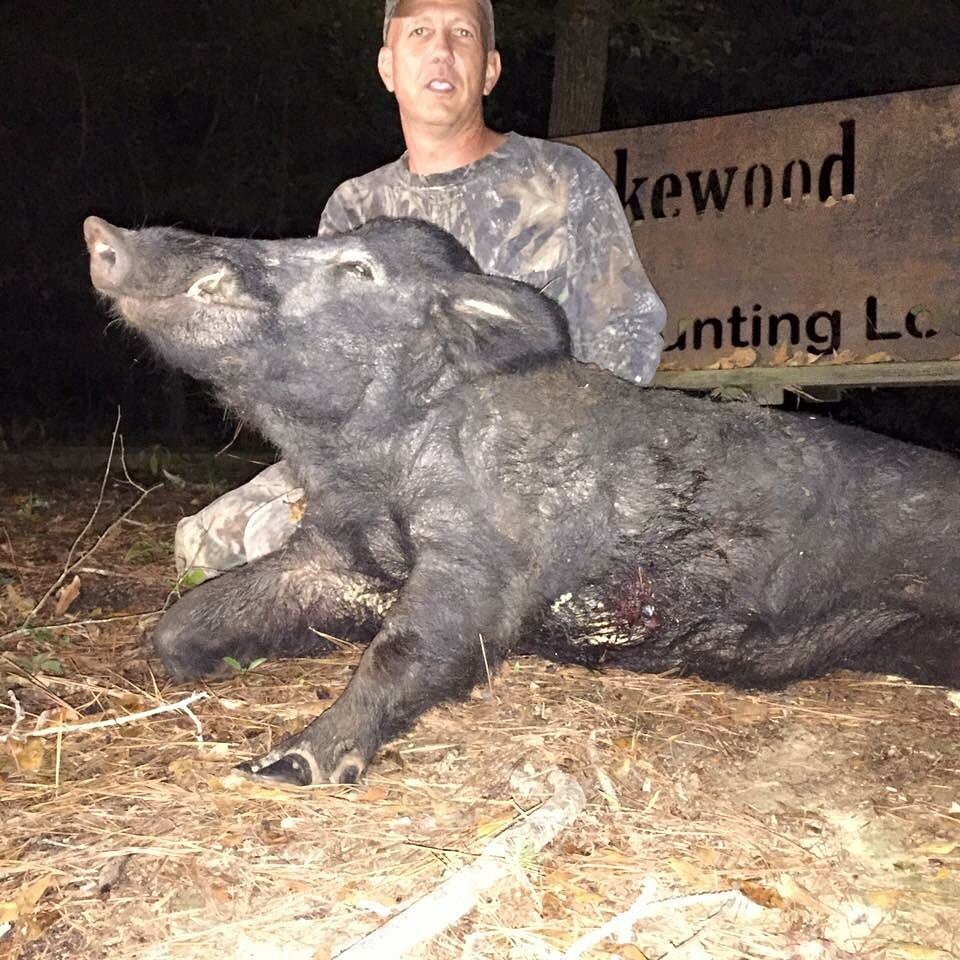 A man in camouflage poses with a harvested wild boar at night, with a 'Lakewood Hunting Lodge' sign in the background.