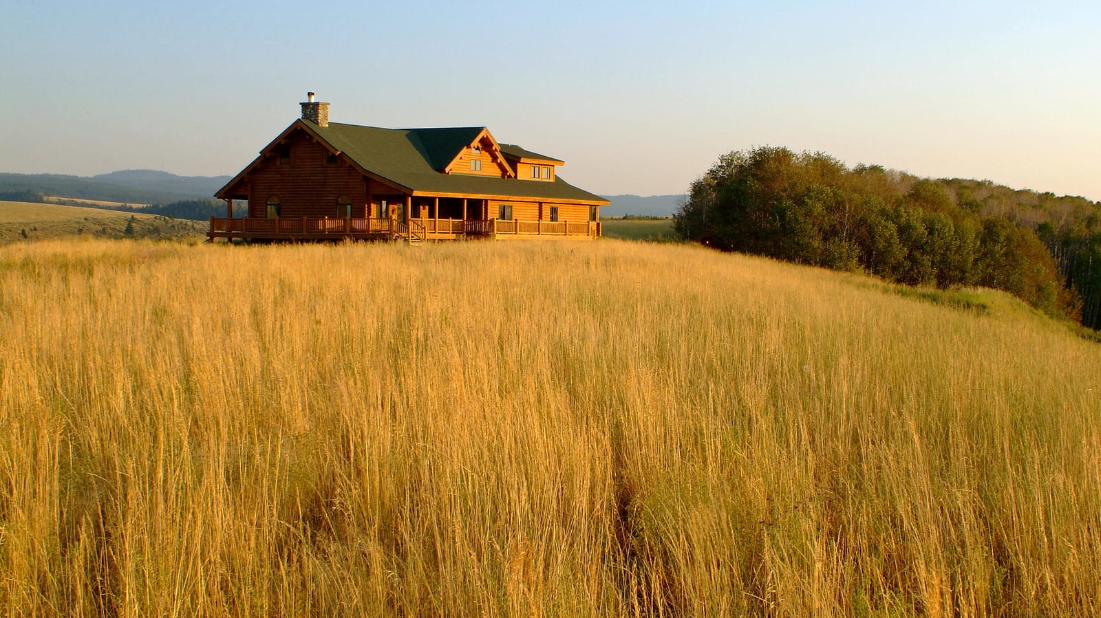 Field of Golden Native Grass in Front of Lazy Triple Creek Ranch Upland Bird Hunting Lodge in Idaho