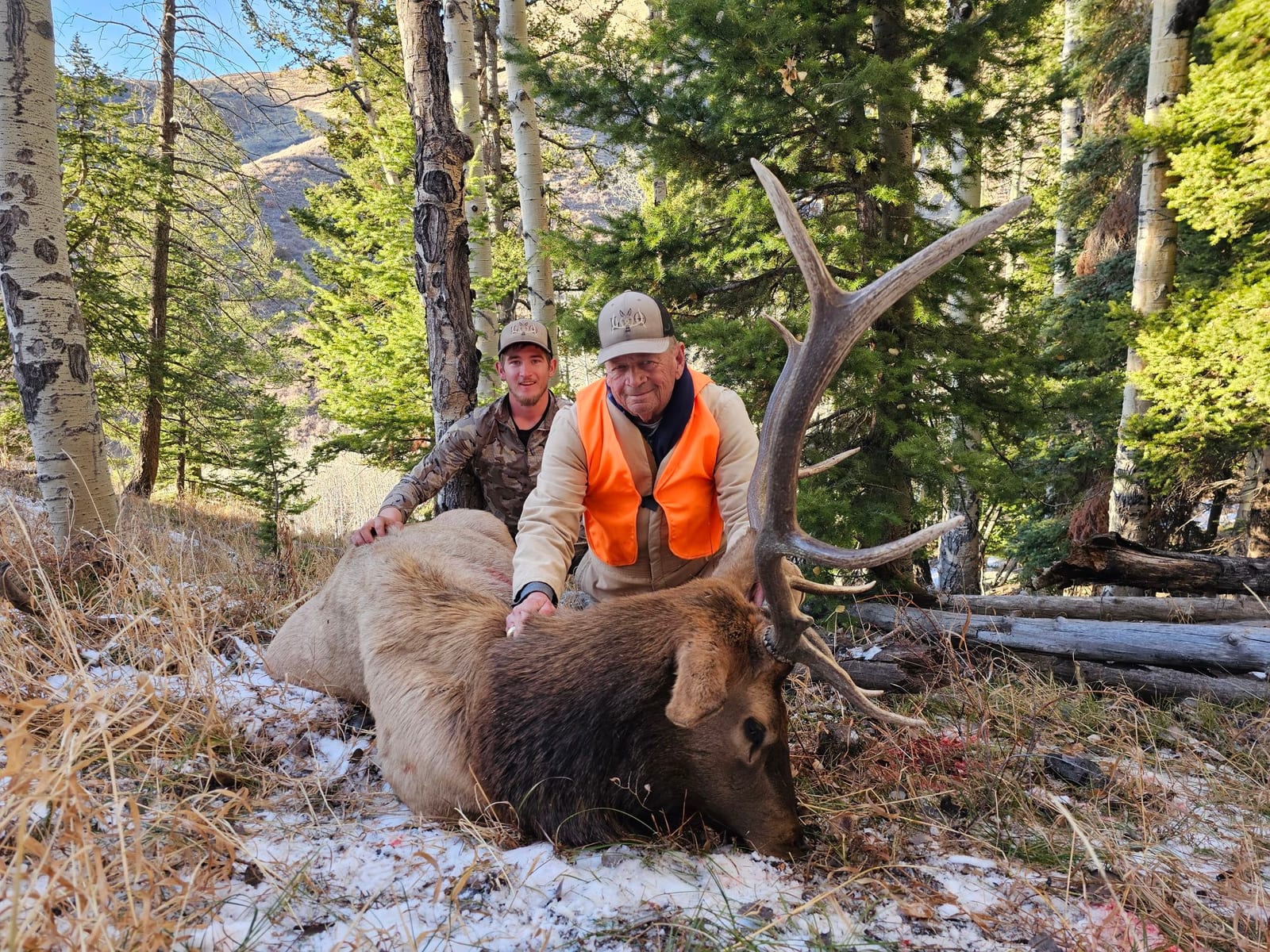 Hamilton Guided Rifle Elk Hunting