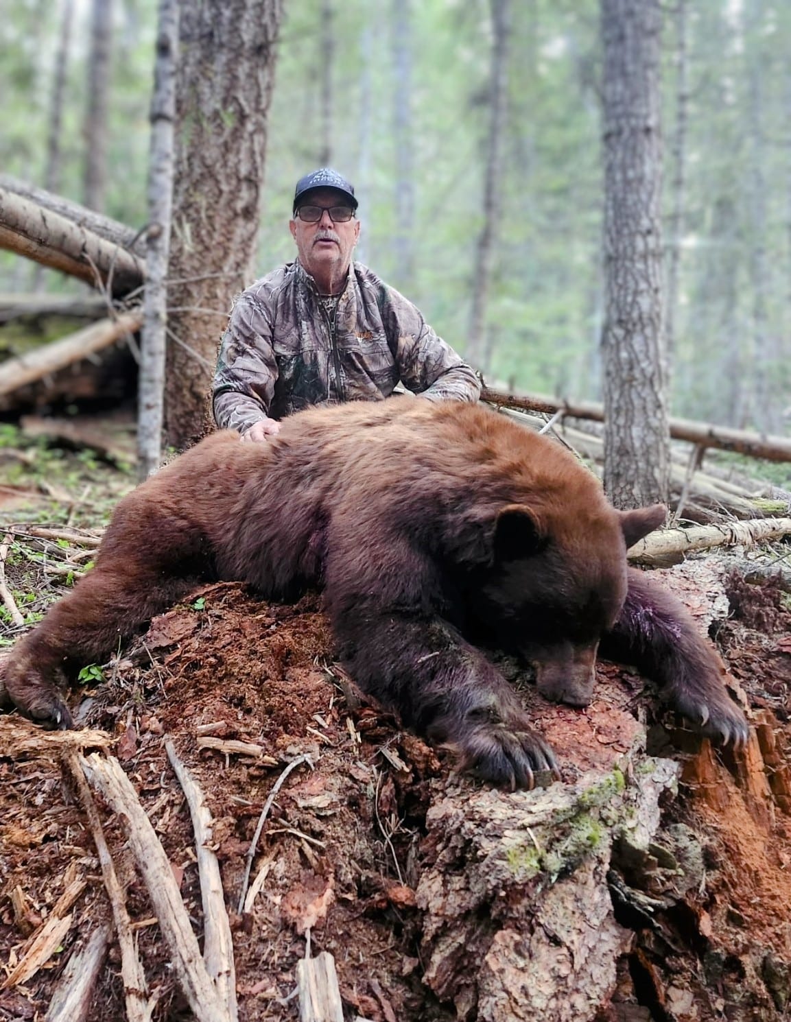 A hunter in camouflage poses with a harvested black bear in a forest.