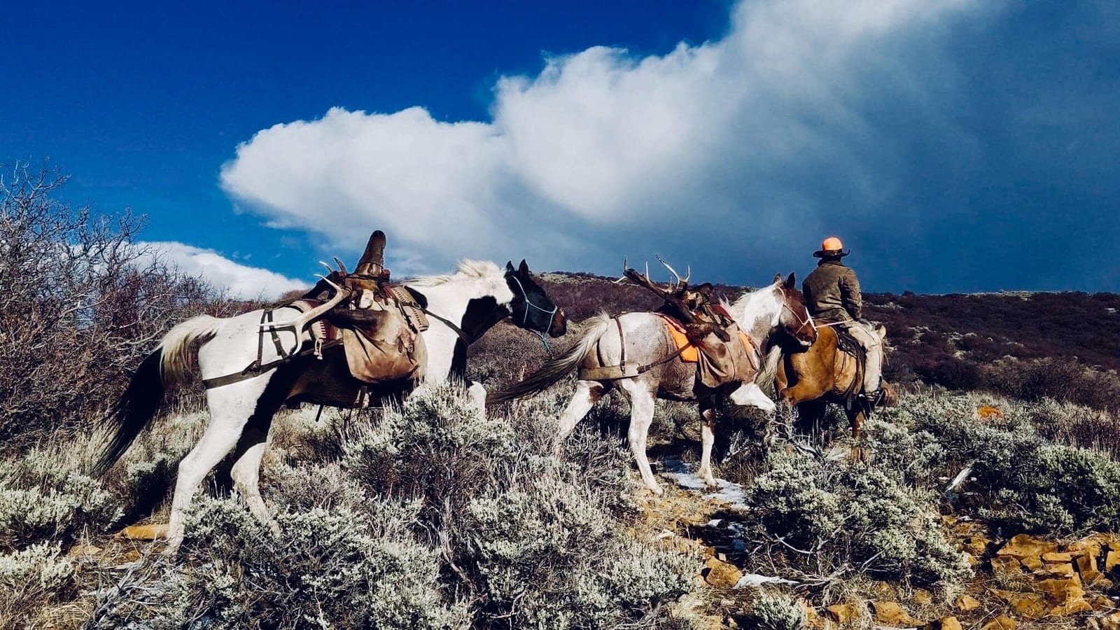 Little Creek Ranch horse rental hunting