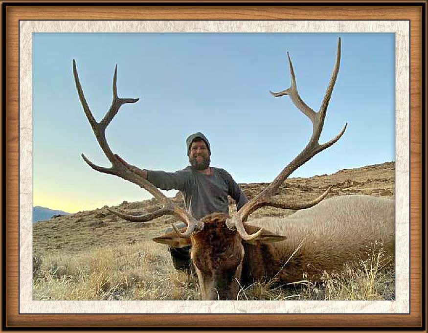 A hunter poses with a harvested elk in a field.