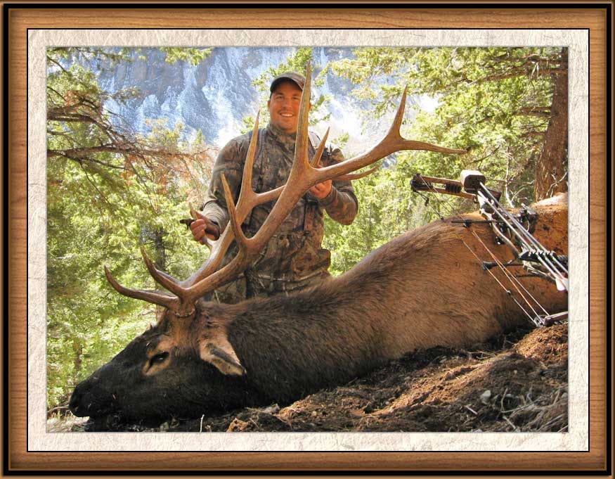 A hunter poses with a harvested elk in a forest setting.