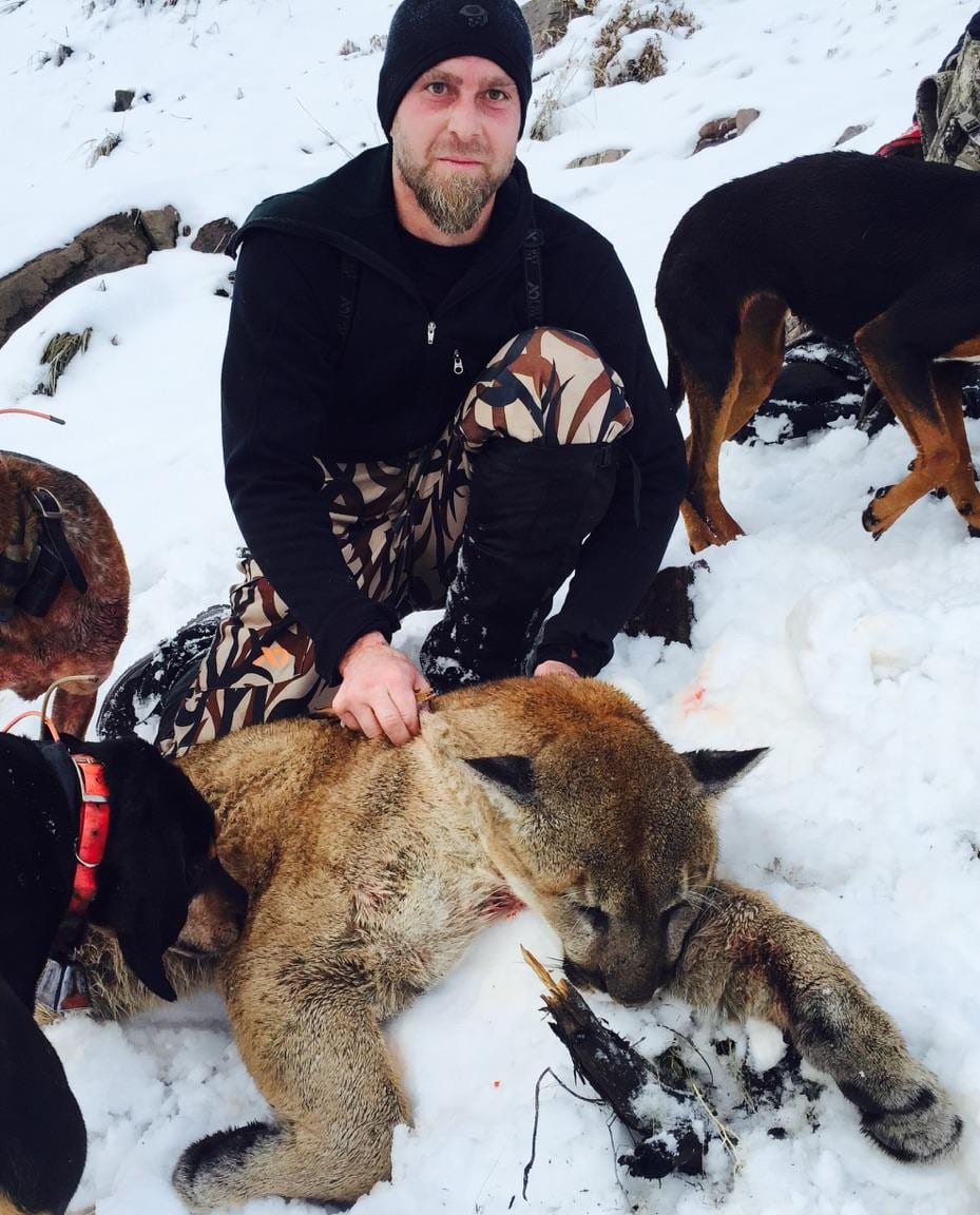 A hunter poses with a harvested mountain lion and hunting dogs in the snow.