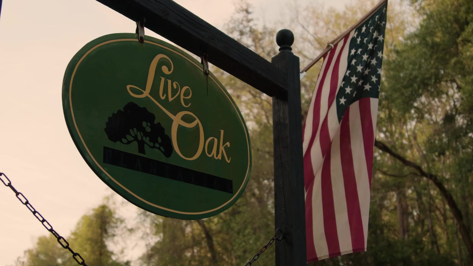 A green oval sign for 'Live Oak' hangs next to an American flag.