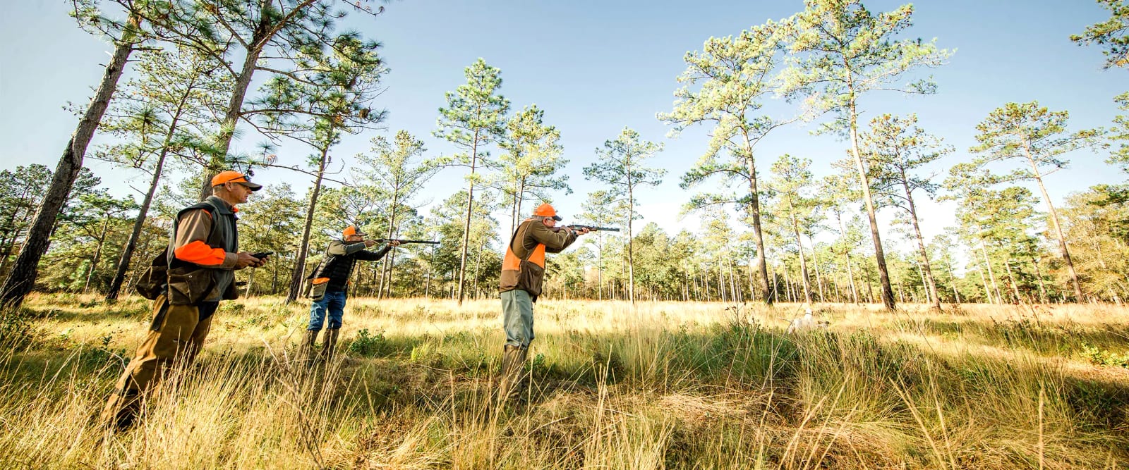 hunting_bg-header2.webp