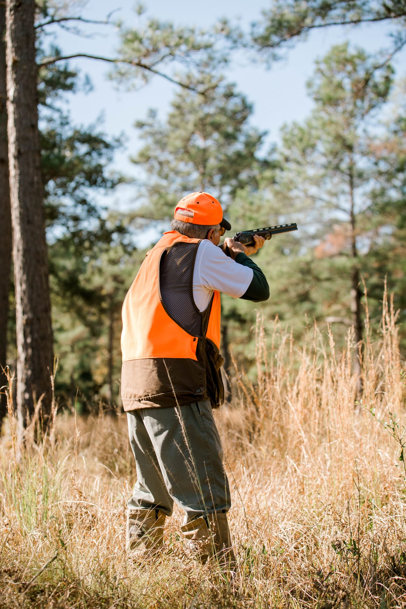Quail hunting with hunter at Live Oak Plantation
