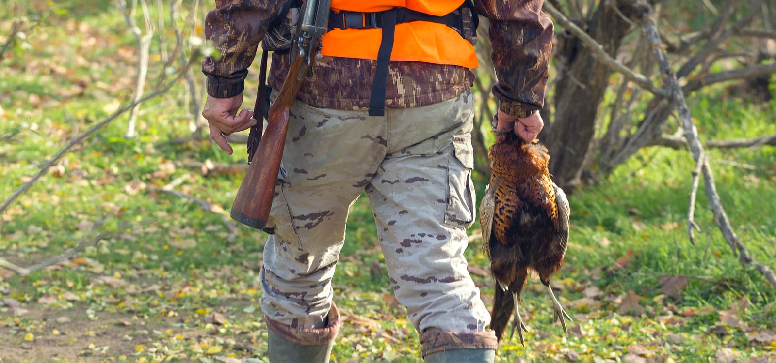 pheasant_bg1.webp