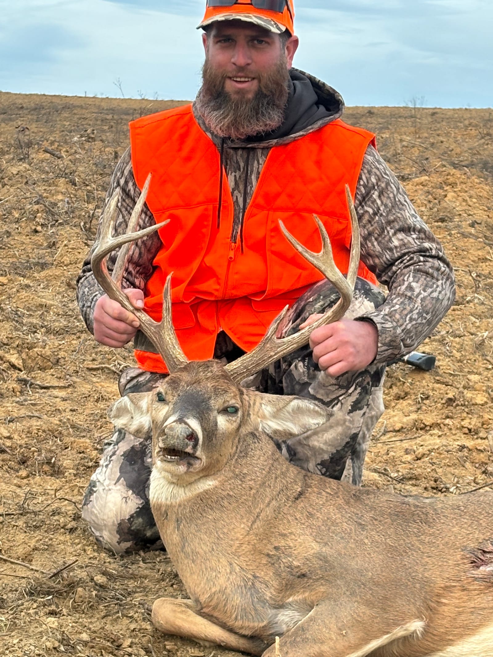 A hunter in an orange vest kneels with a harvested whitetail deer in a field.