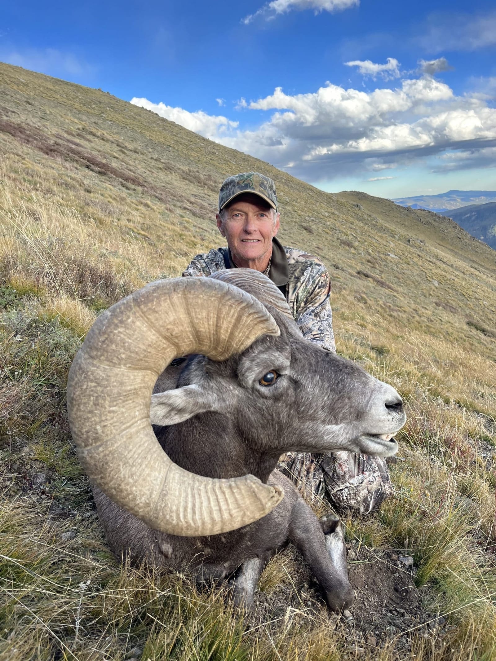 2023 Colorado Bighorn Sheep, Mountain Goat, and Moose Recommendations