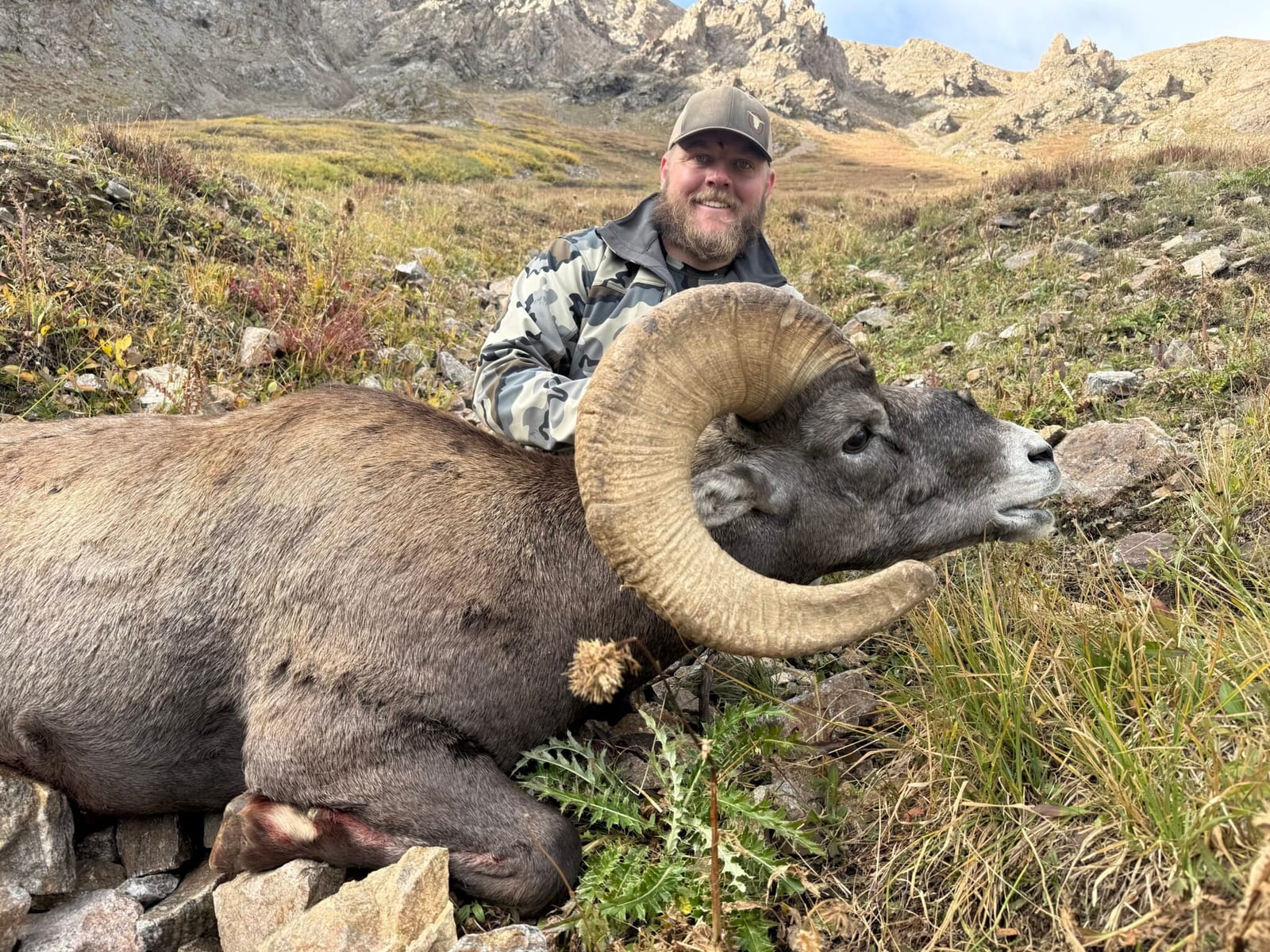 2026 Coloradoβs Top Bighorn Sheep, Mountain Goat, and Moose Recommendations