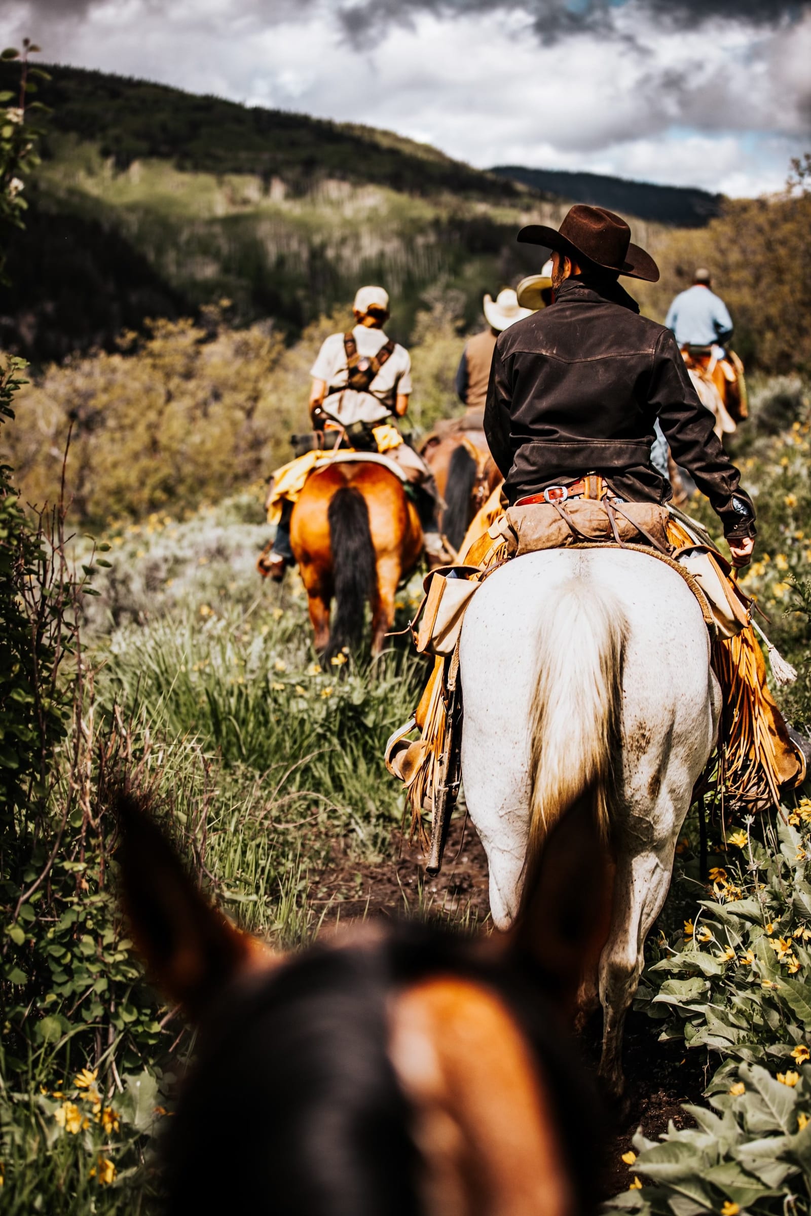 Group of people riding horses along a trail surrounded by green vegetation and yellow flowers with a mountainous landscape in the background.