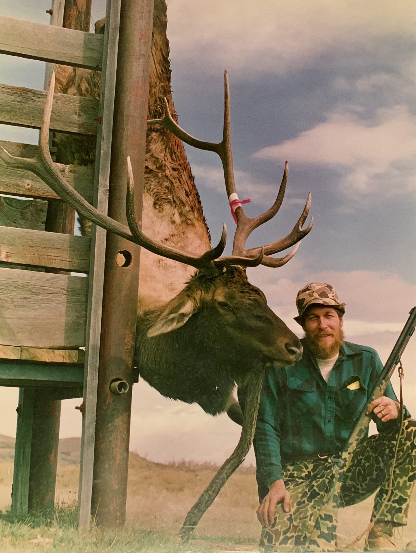 Lobo Outfitters Elk Hunting Colorado
