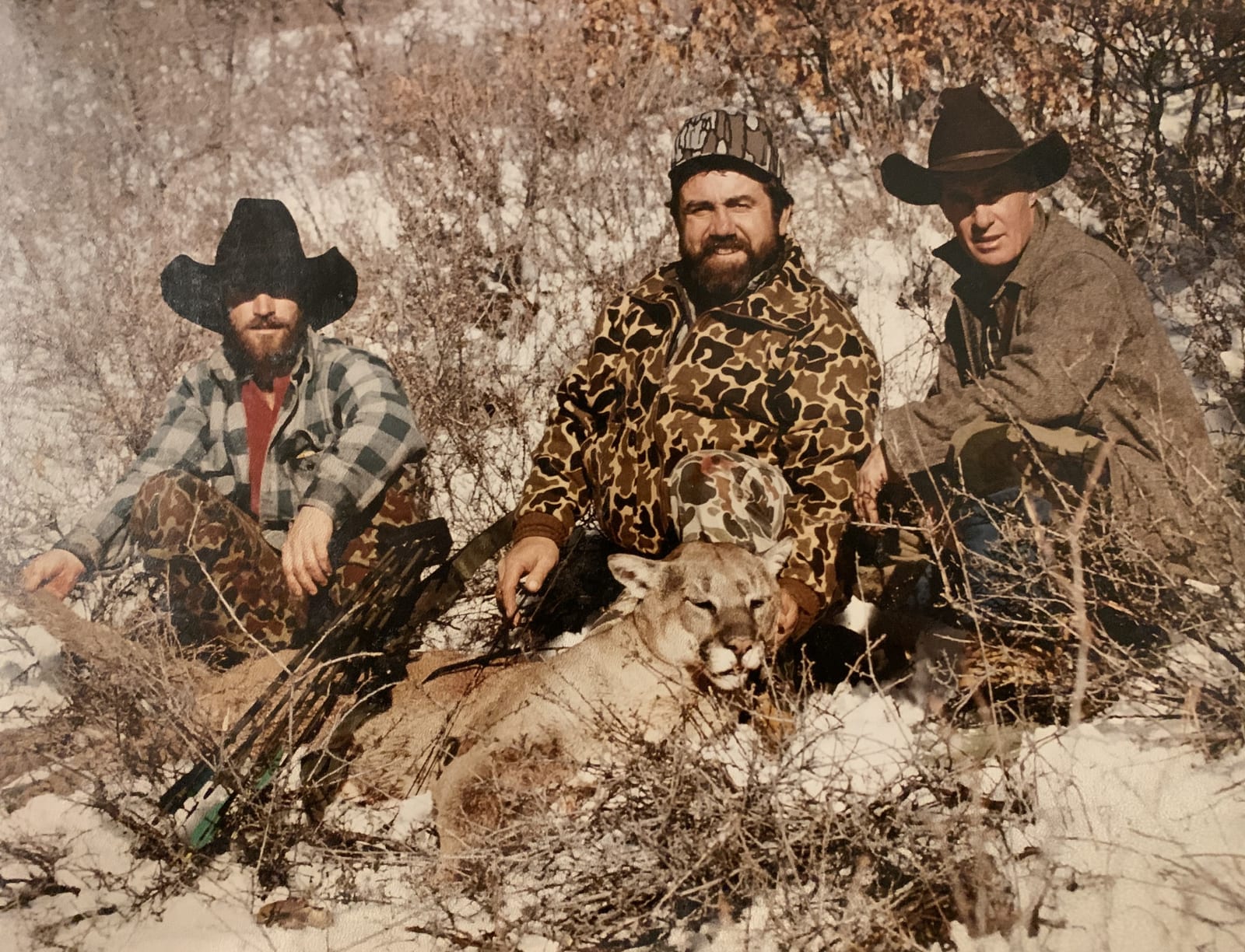 Lobo Outfitters, Mountain Lion hunting
