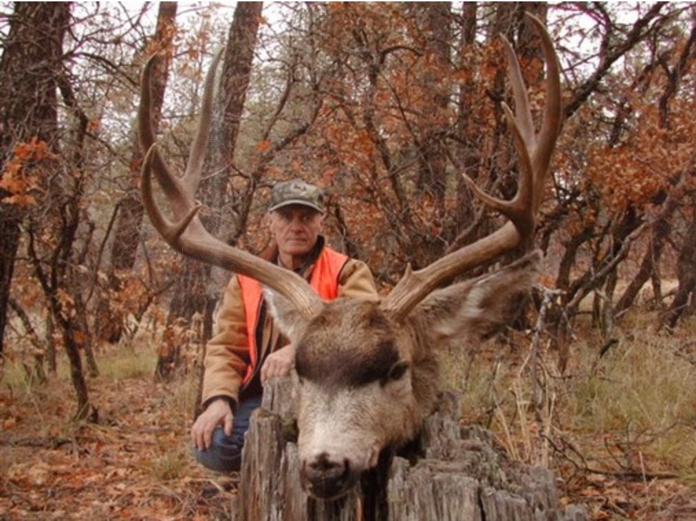 Lobo Outfitters Deer hunting Colorado