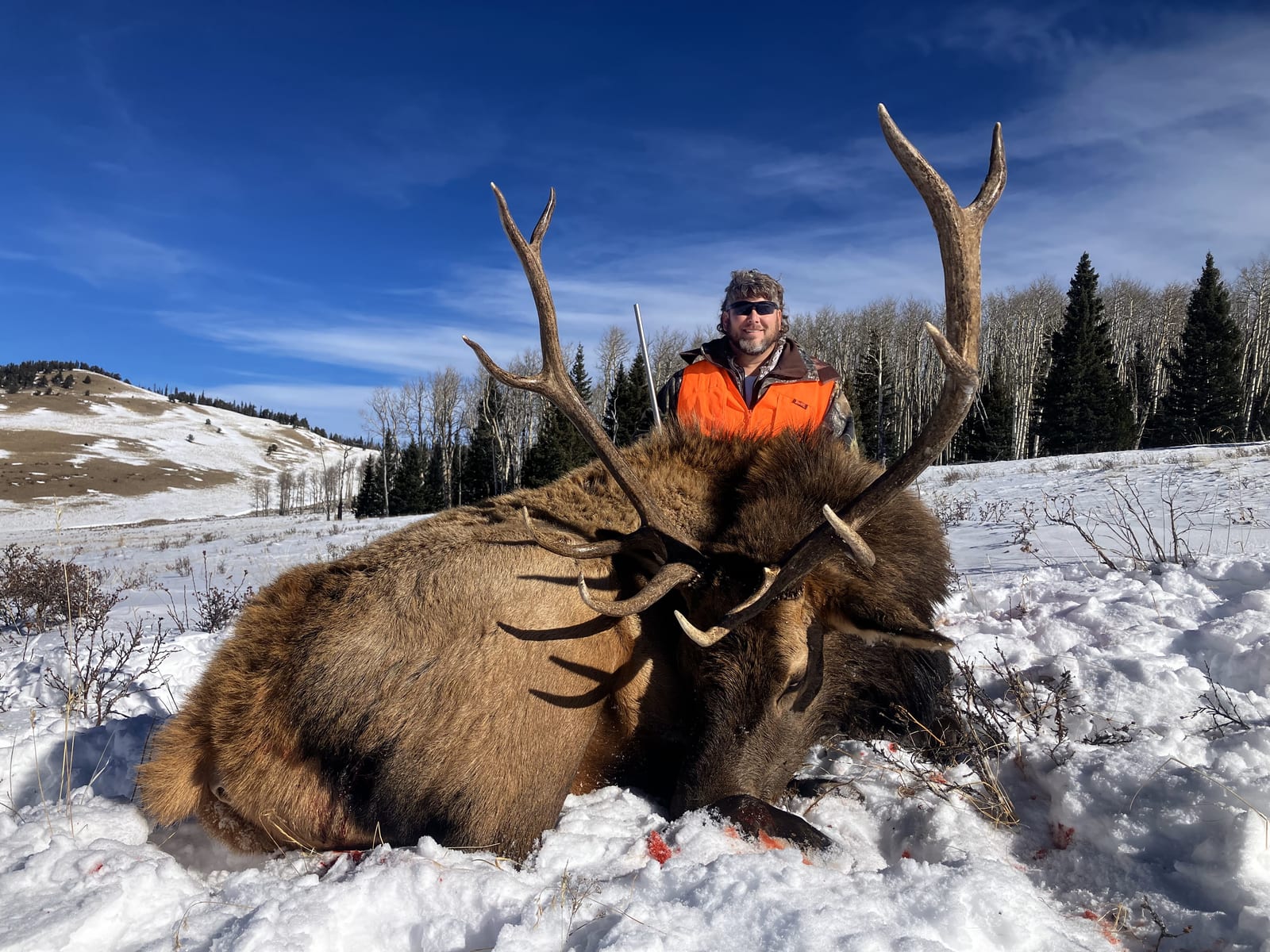 colorado hunting tags