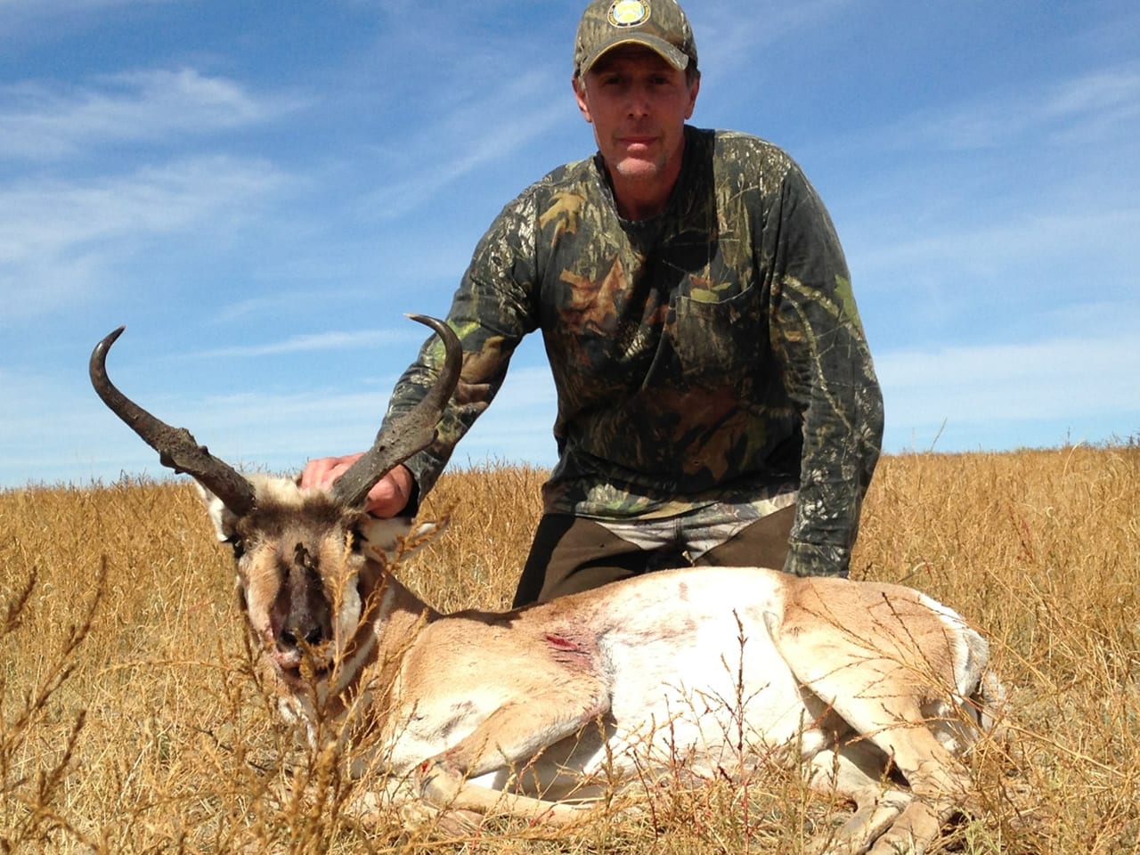 colorado pronghorn by loco mountain outfitters