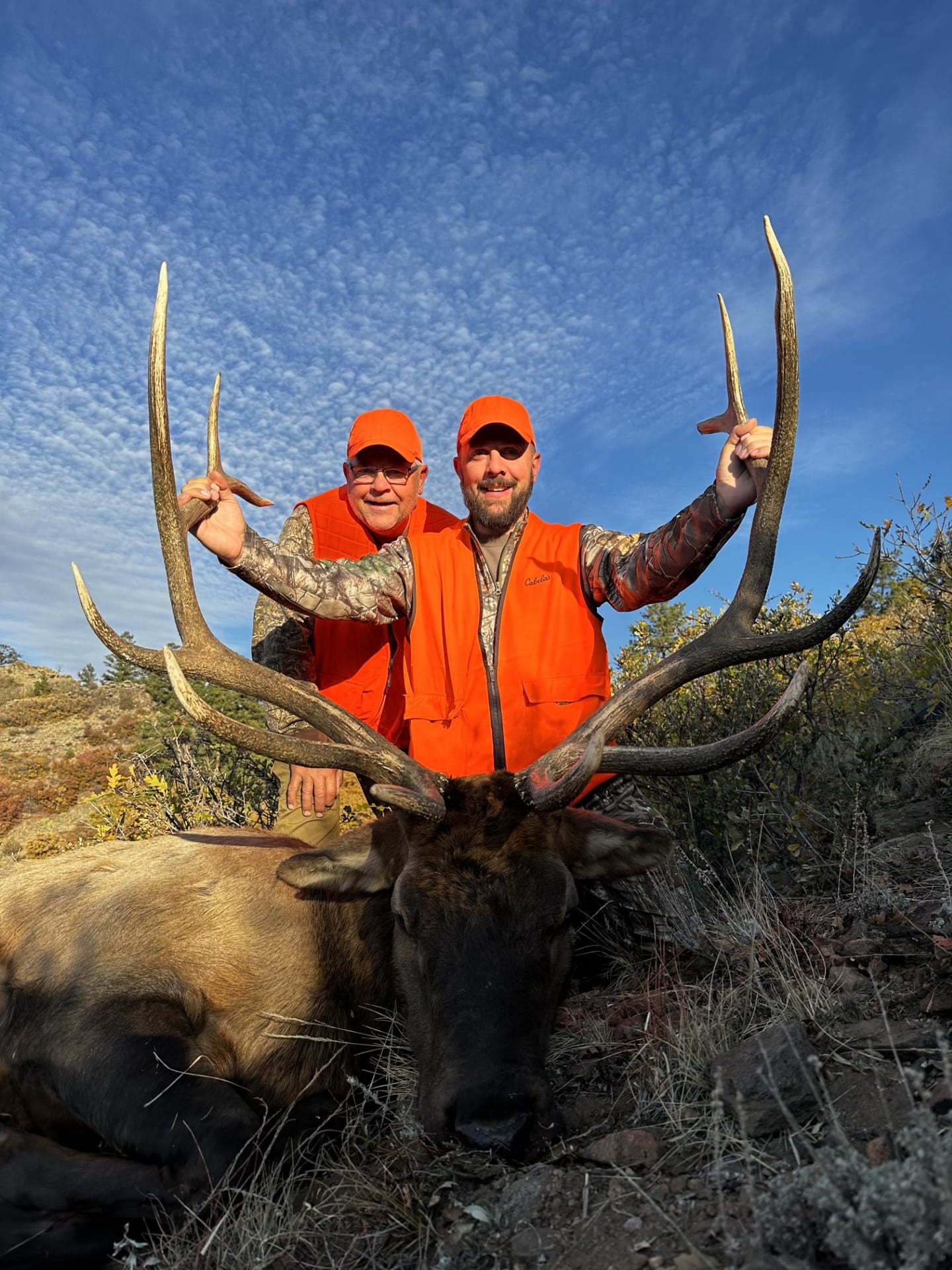 archery elk season colorado by locomountainoutfitters