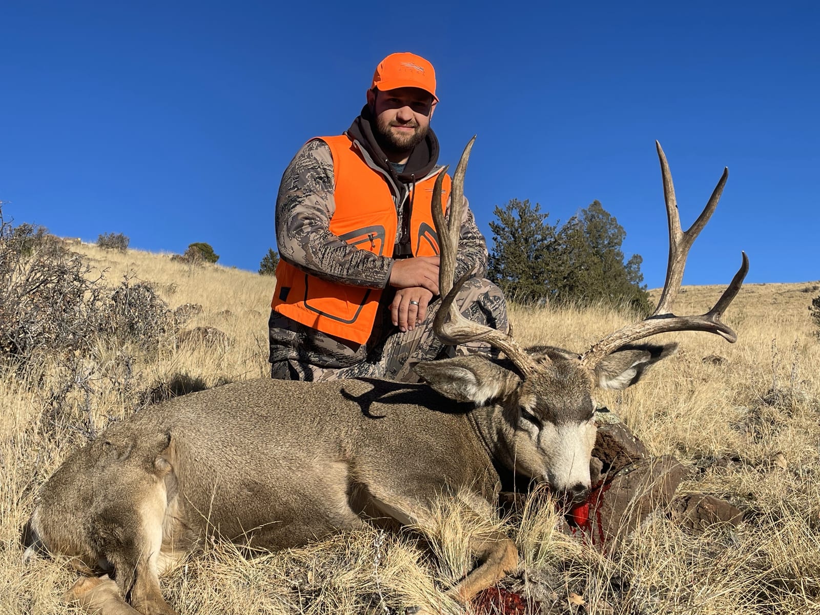 elk hunting us in colorado by loco mountain outfitters