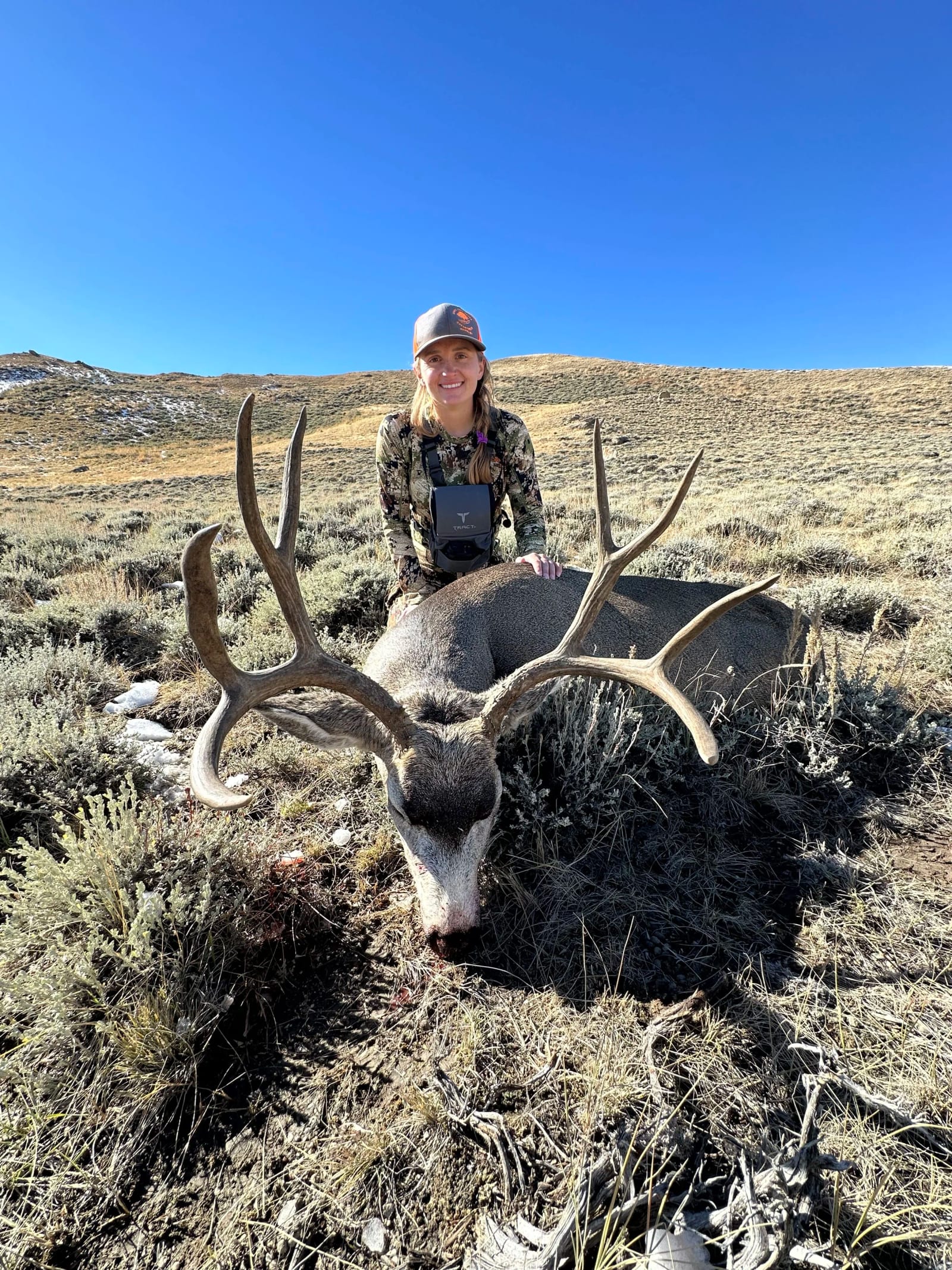 A woman in camouflage clothing kneels behind a large, dead deer with prominent antlers in an open, grassy landscape with a clear blue sky.