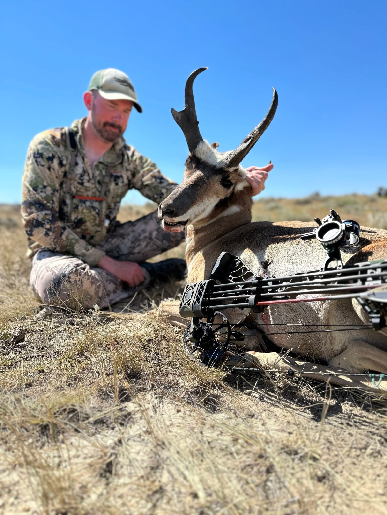 A man in camouflage clothing kneeling next to a sitting antelope with large horns. A bow and arrow are placed near the antelope on dry grass under a clear blue sky.