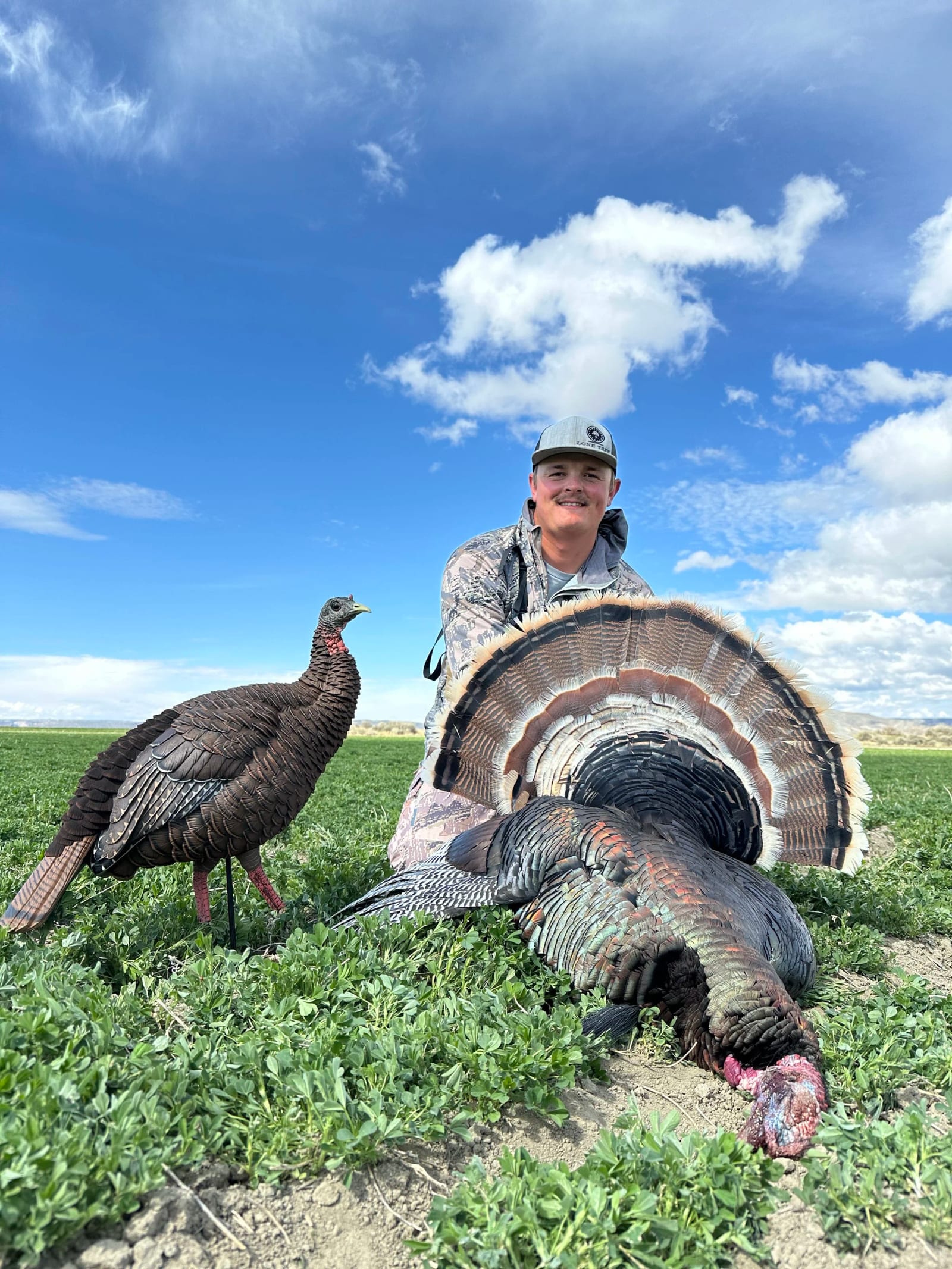 A man holding a large turkey on a farm field with a wild turkey standing nearby and a clear blue sky with clouds.