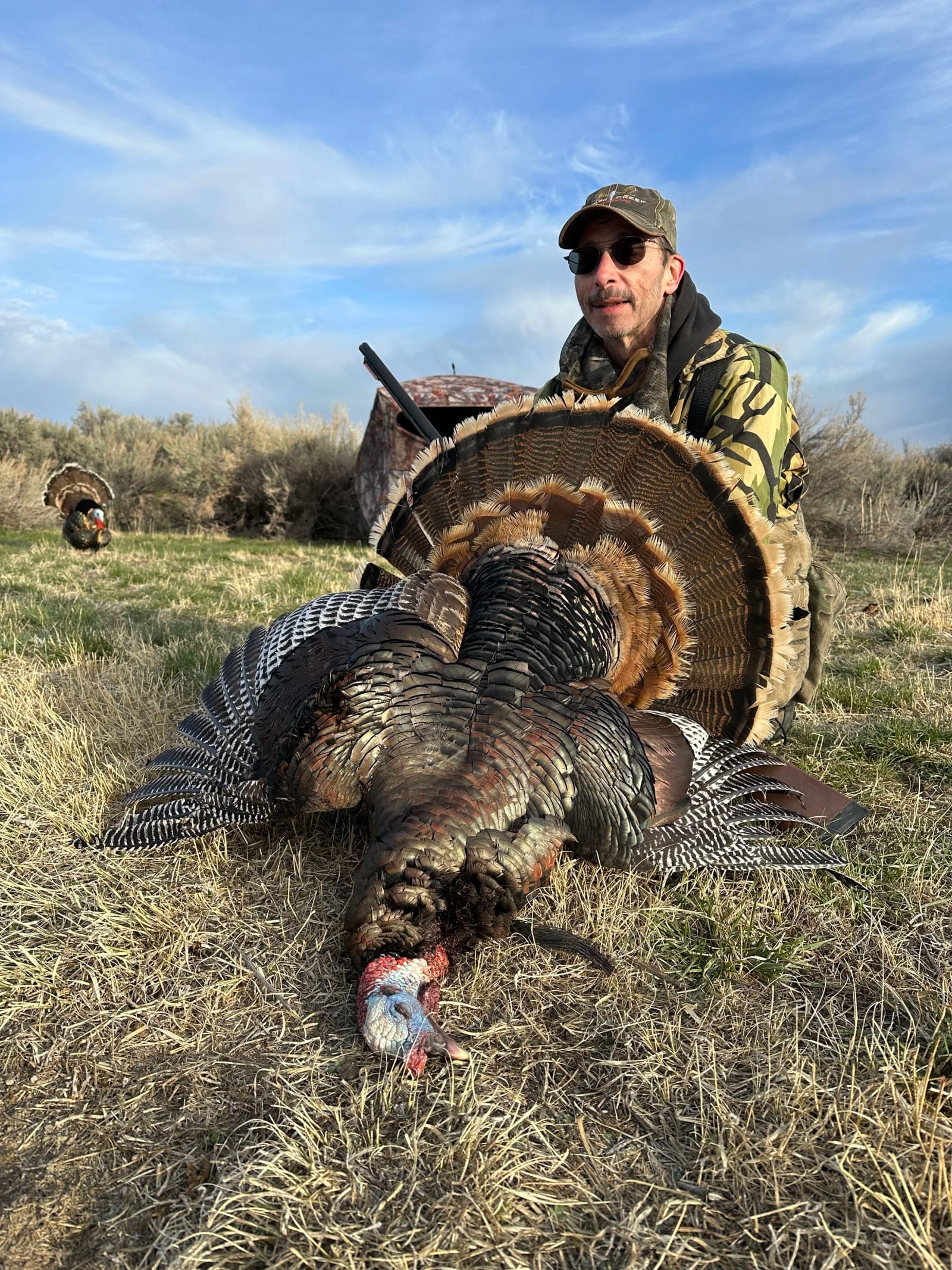 A man wearing camouflage clothing and sunglasses kneels next to a large, recently hunted turkey lying on the ground, with a bow in his hand and an open field with bushes and trees in the background.