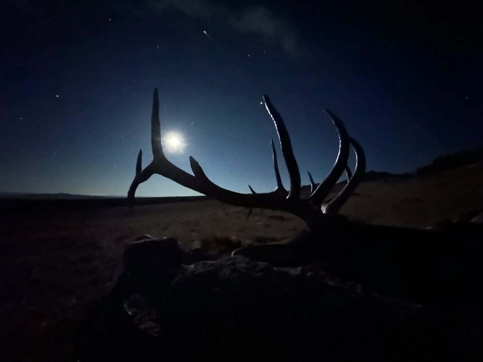 Dark landscape at night with a full moon and visible stars. Silhouette of a large antlered animal skull or antlers lying on the ground.