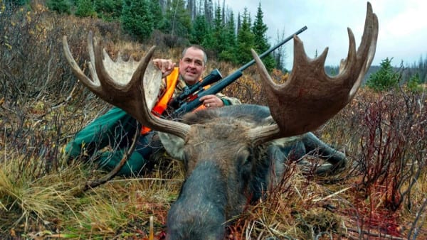 moose