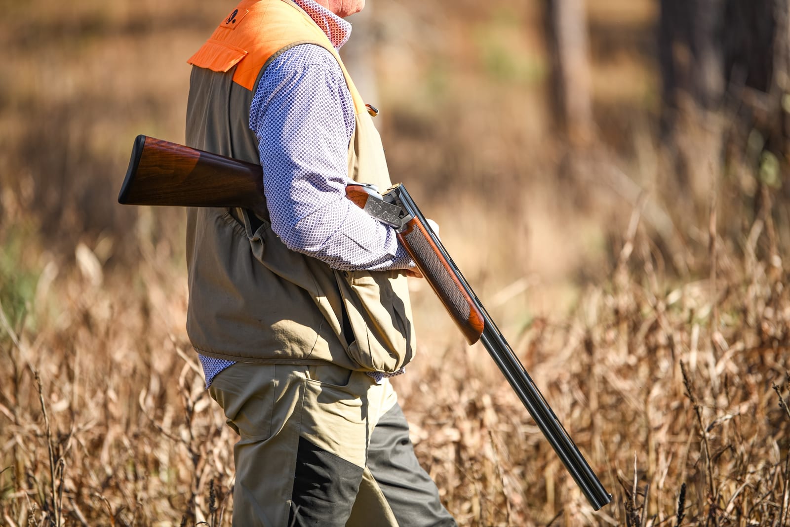 Longleaf Hill Plantation Quail Hunting