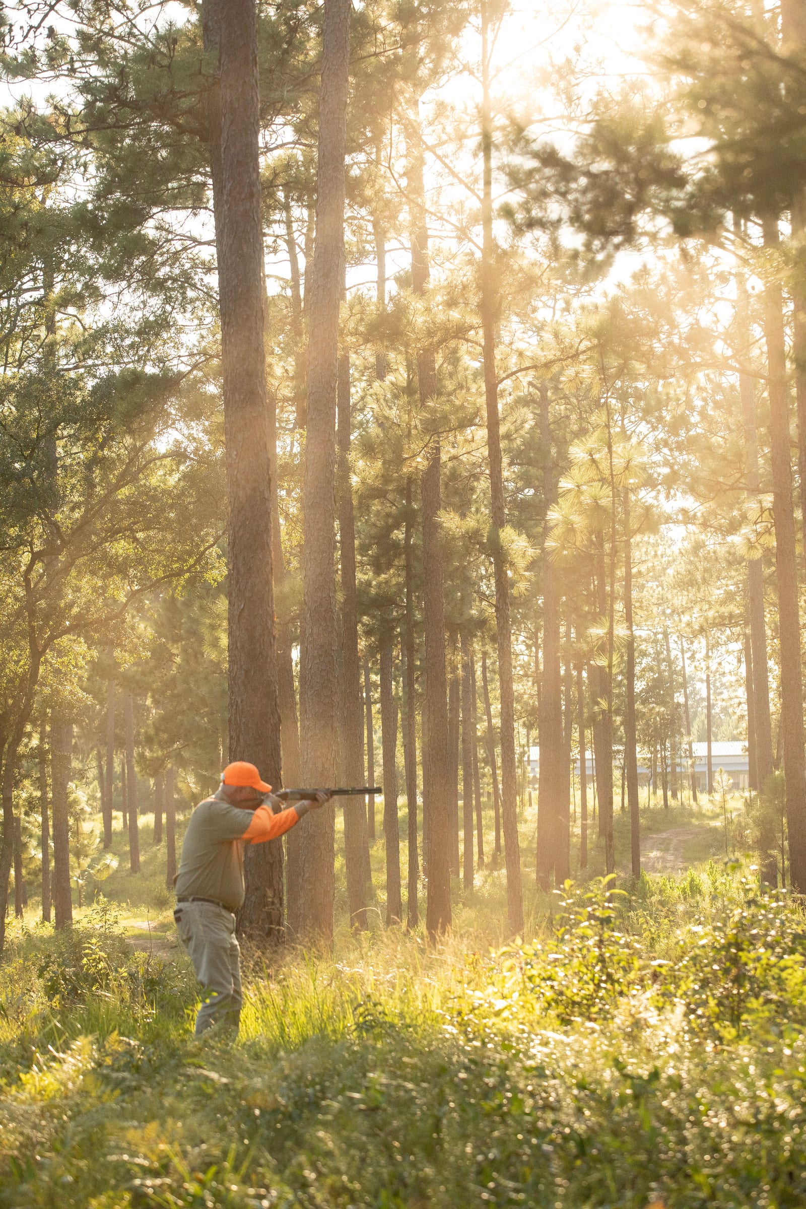 Longleaf Hill Plantation Image