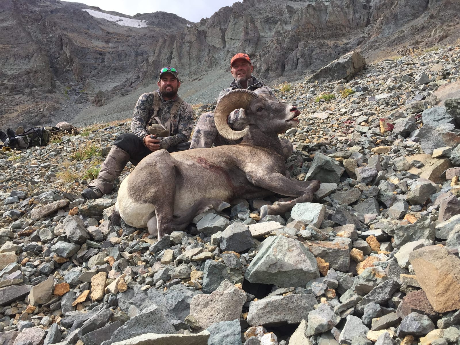 Two hunters pose with a harvested bighorn sheep on a rocky mountainside.