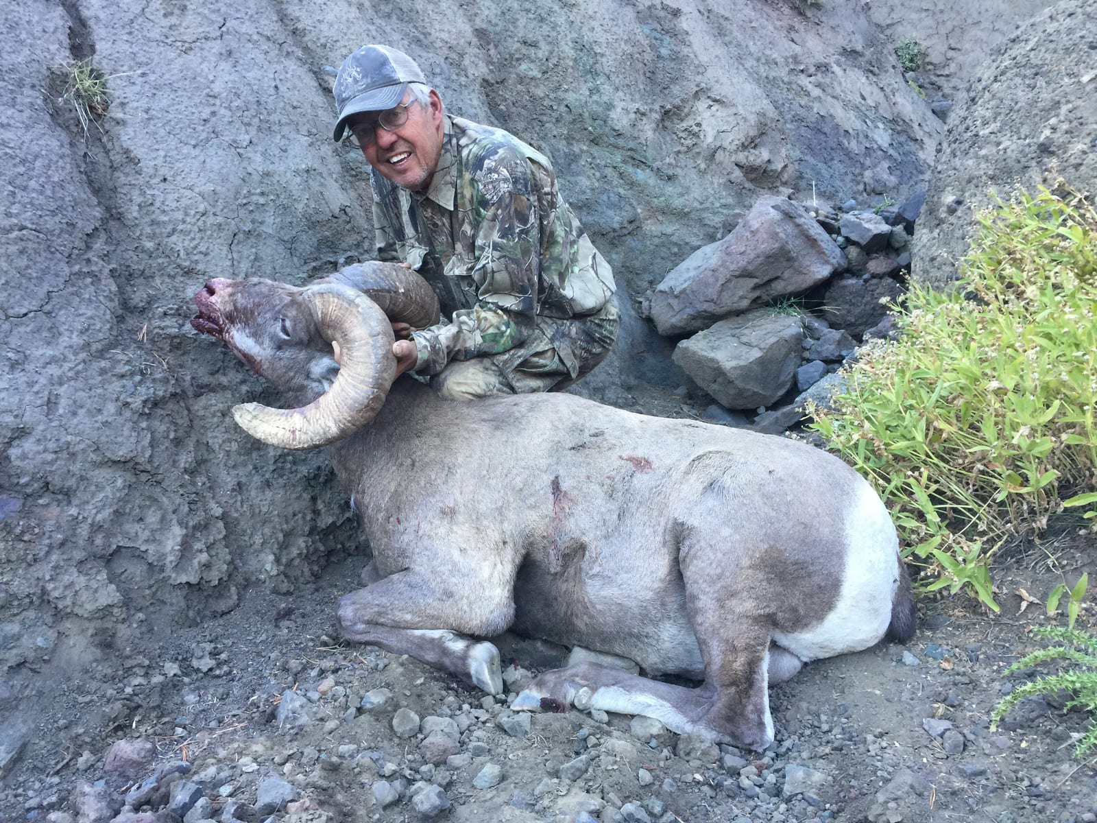 A hunter poses with a harvested bighorn sheep.