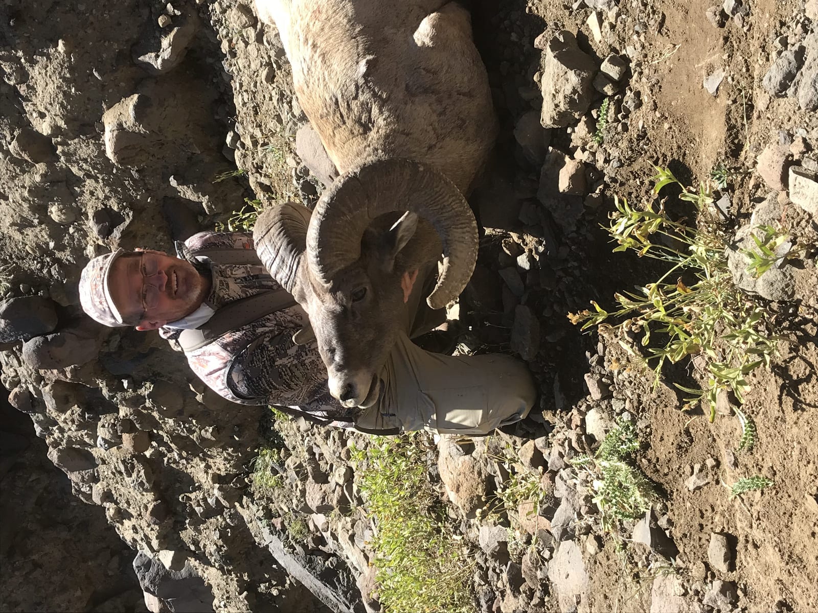 A hunter poses with a harvested bighorn sheep on a rocky hillside.