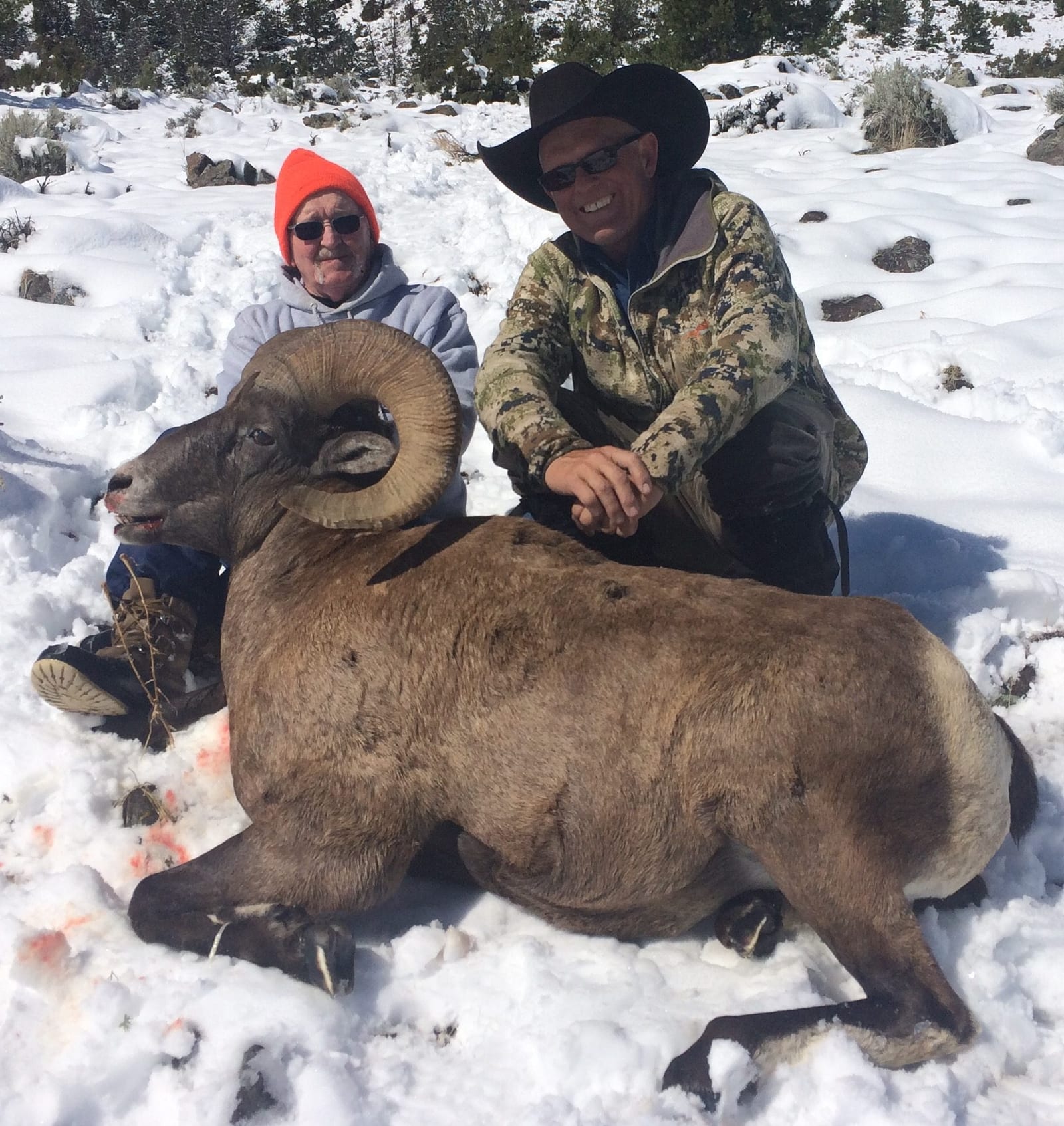 Two hunters pose with a harvested bighorn sheep in the snow.