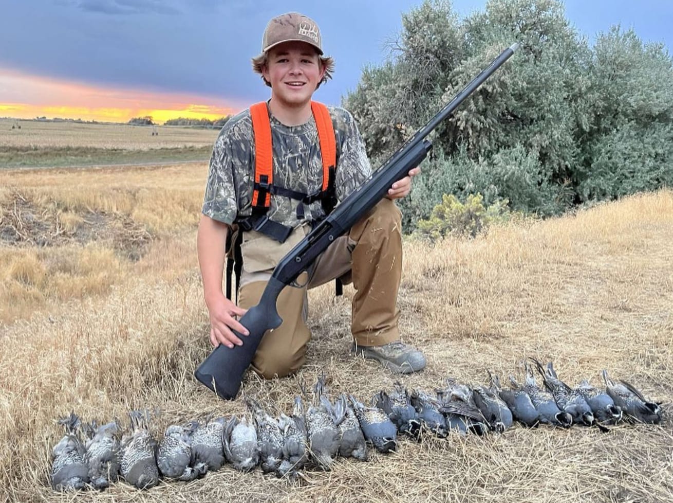bird hunting lost river.png