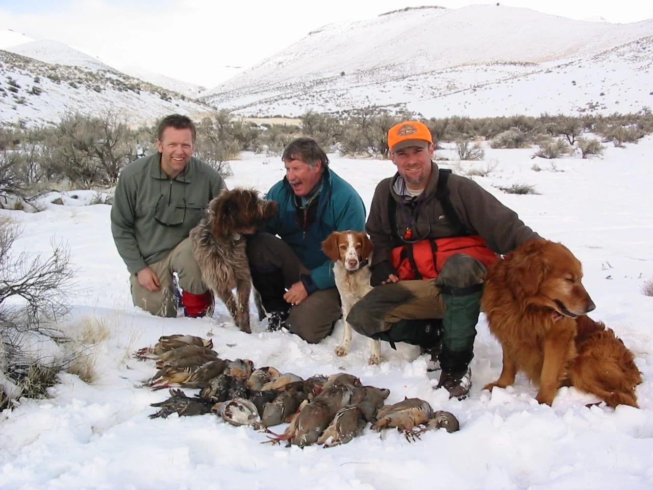 bird hunting 6.jpeg