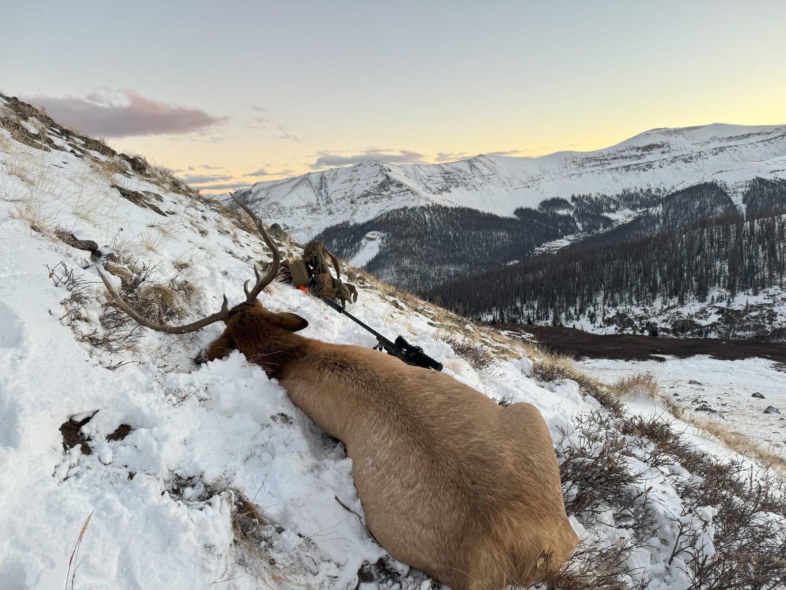 2nd Rifle Unit 76 Elk Harvest