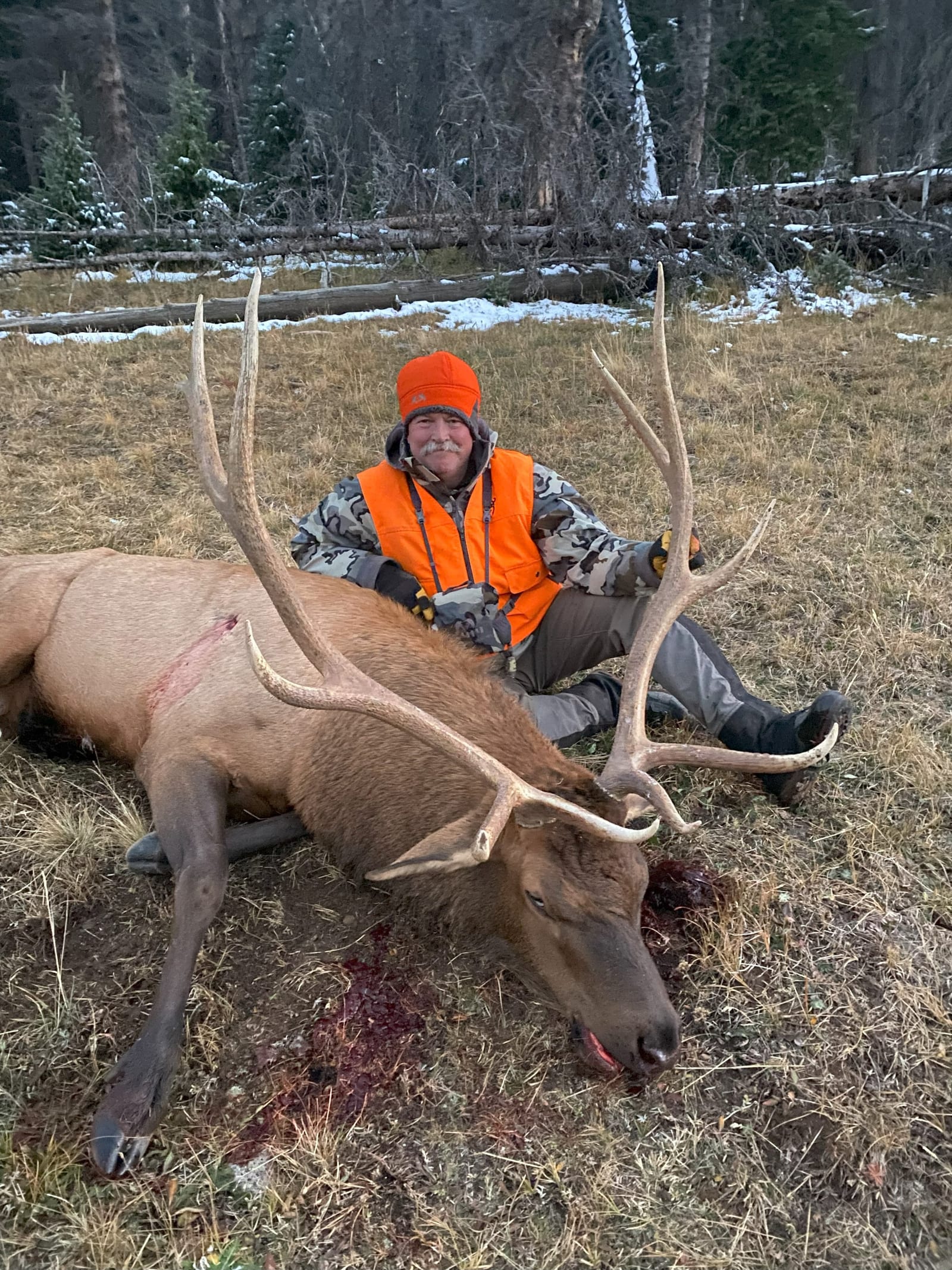 unit 76 elk harvest